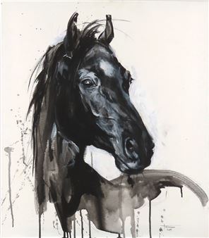 Pohľad arabského koňa - Lucie Filimonova