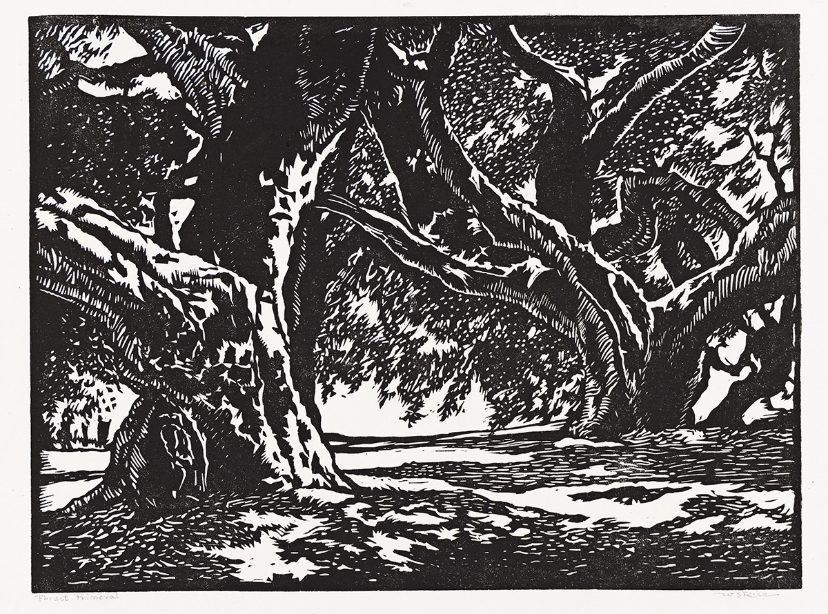 William S. Rice | Del Monte Oaks (Treseder 25) (1920) | MutualArt