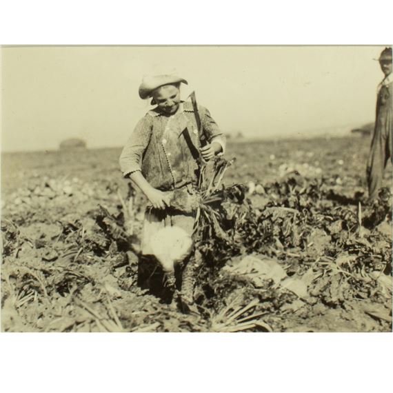 Nine-year-old Pauline Reiber Topping Beets a Dangerous and Hard Job for Such a Child, near Sterling, CO, by Lewis Hine, 1915