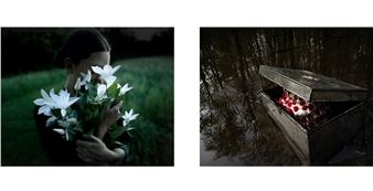 Cig Harvey: Feast - Robert Mann Gallery