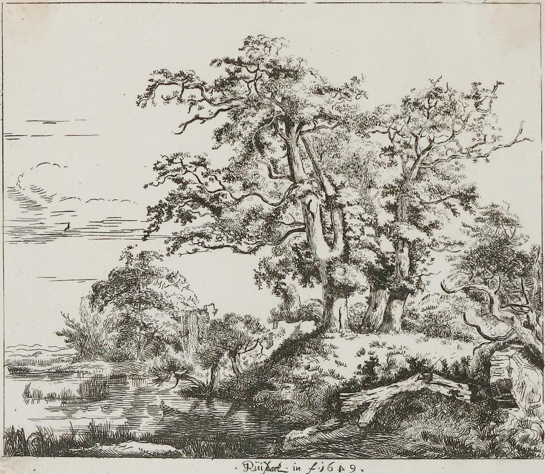 Jacob van Ruisdael | Drei Eichen (1816) | MutualArt