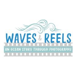 Waves & Reels: An Ocean Story Through Photography - MOAS, Museum of Arts and Sciences