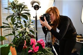 Hobart Current: Epoch