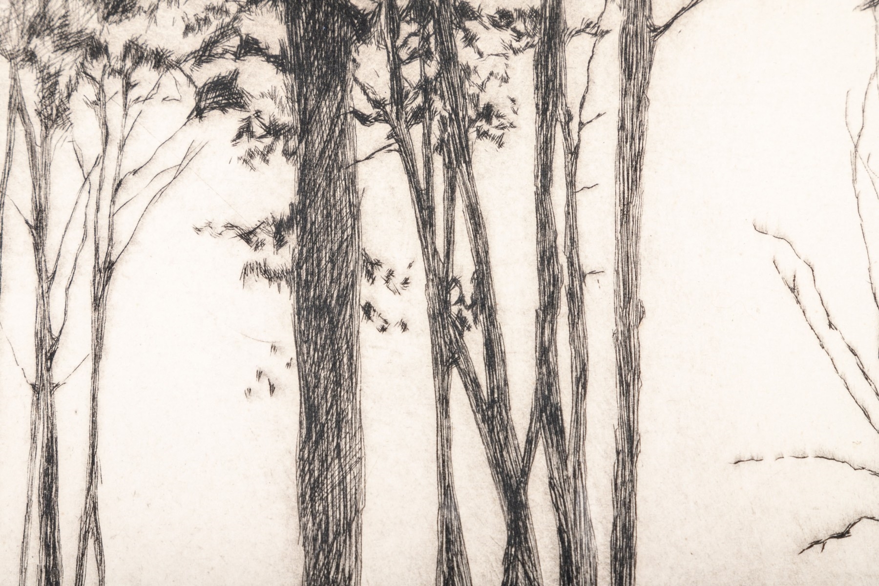 Artwork by Caroline Cutrona, "Lonely Silhouettes", Made of etching