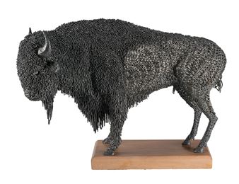 Bison IV - Jerry Daniel