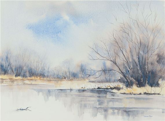 HILLSBOROUGH LAKE IN FEBRUARY by Sandra Maze