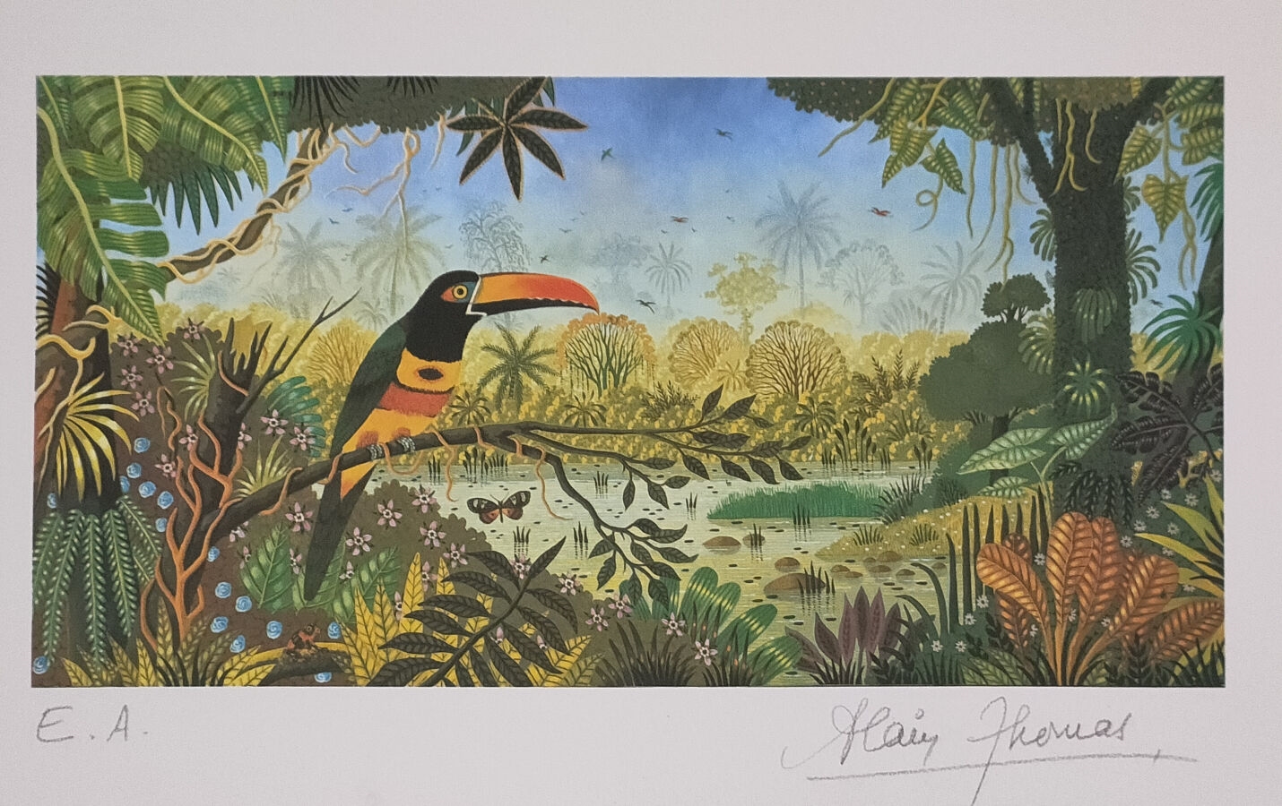 Artwork by Alain Thomas, Le toucan, Made of lithograph