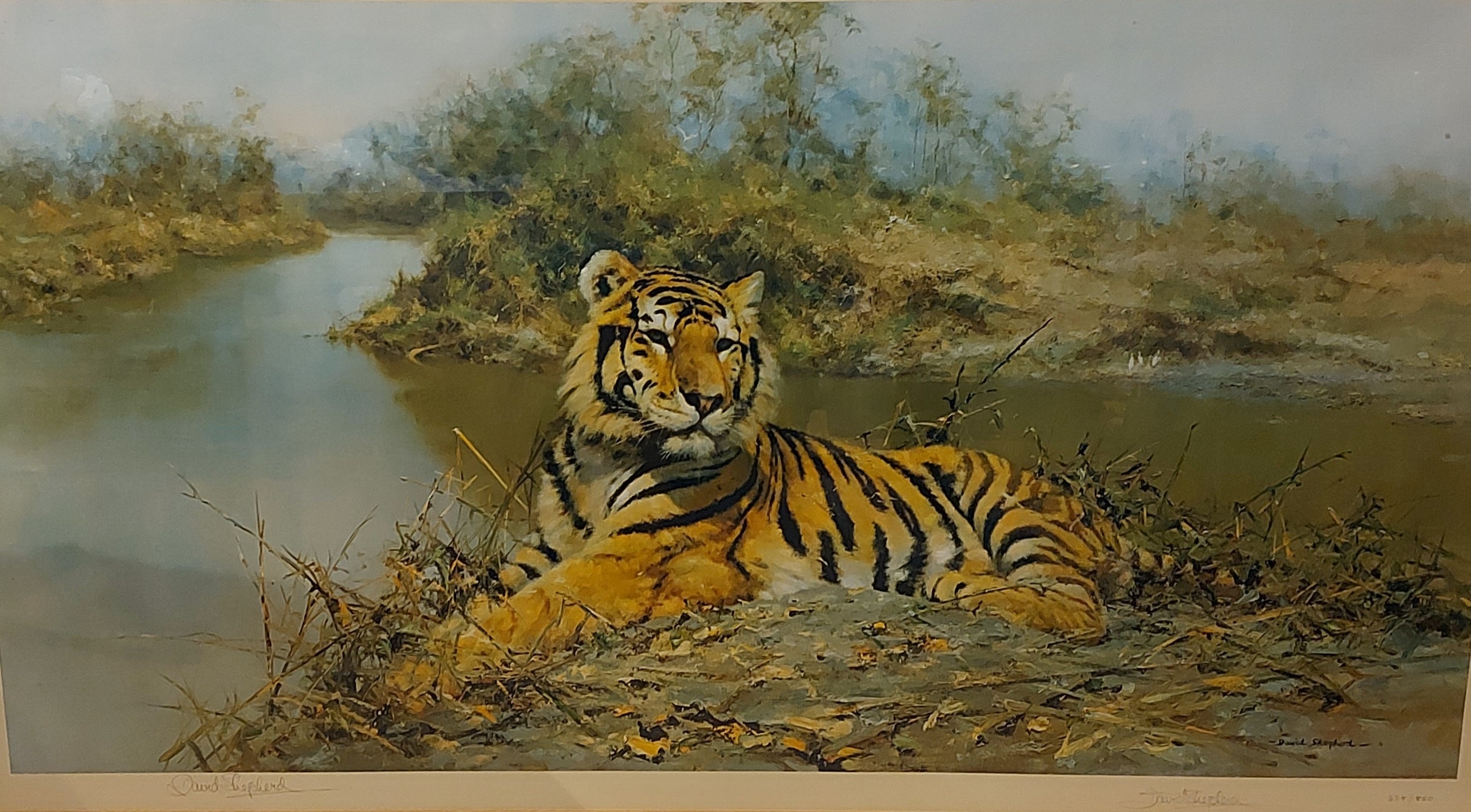 David Shepherd | Tiger In The Sun | MutualArt