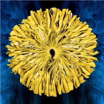 Group Exhibition - Andrea Schwartz Gallery