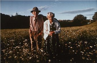 untitled - John McDermott