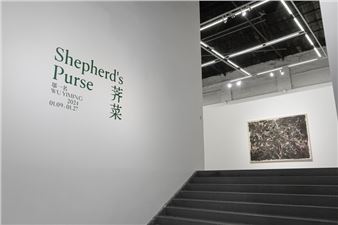 Wu Yiming: Shepherd's Purse - ShanghART M50