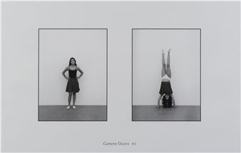 Camera Oscura #1, Camera Oscura #2 - Roger Vercruysse