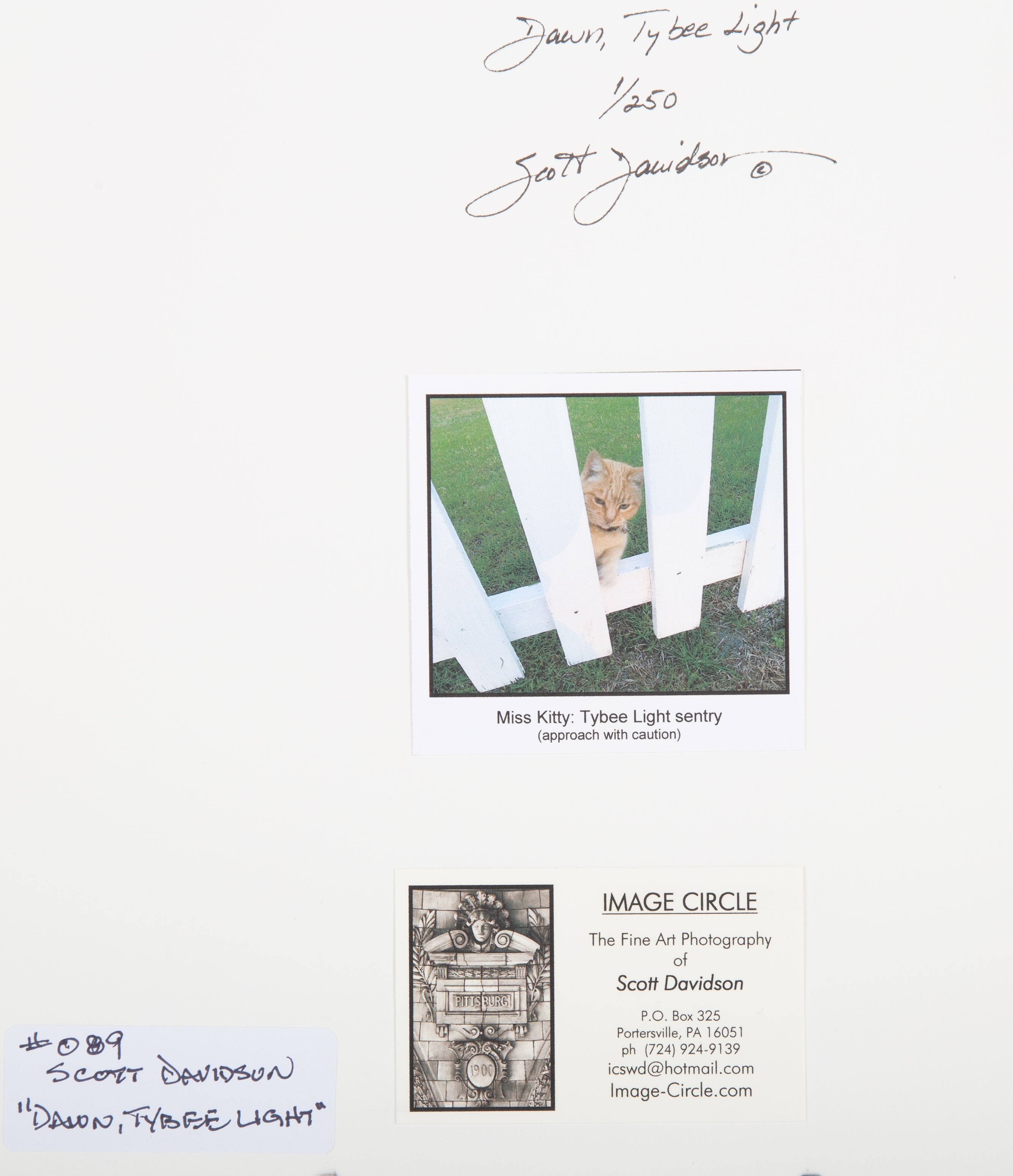 Scott Davidson | DAVIDSON COLOR PHOTOGRAPH, SIGNED | MutualArt