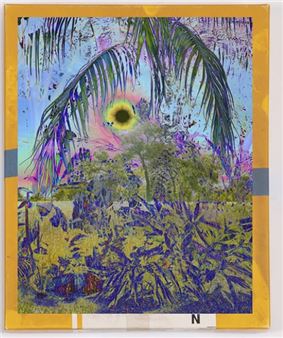 Matthew Brandt & Christine Nguyen: Garden Pictures - David B. Smith Gallery