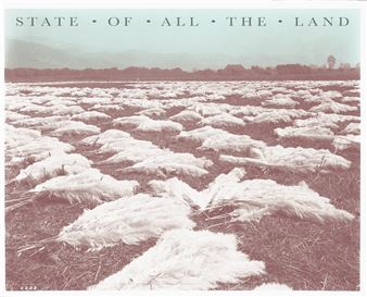 Kitti Gosztola: State of All the Land - Kisterem