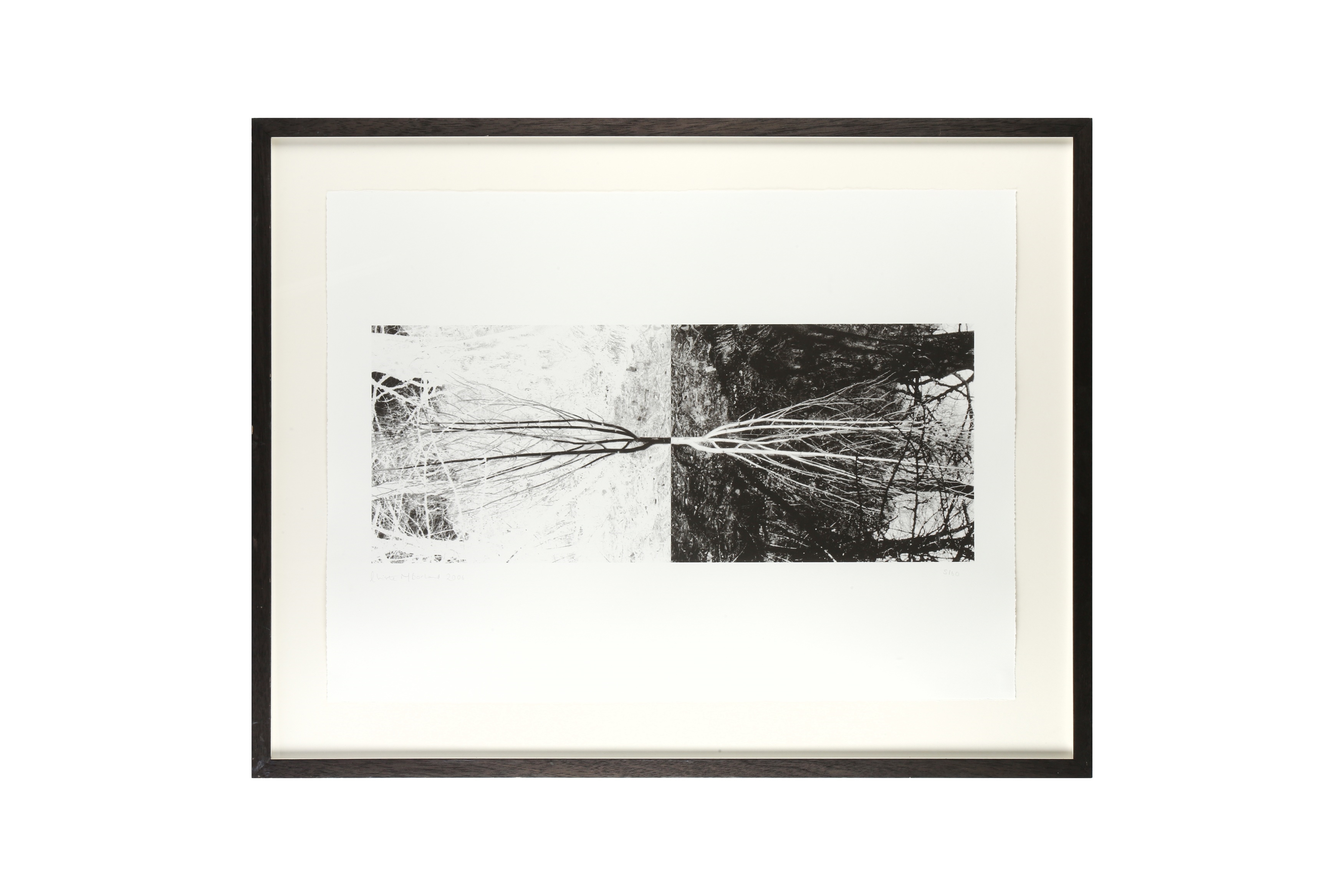 Christine Borland | signed (1960) | MutualArt
