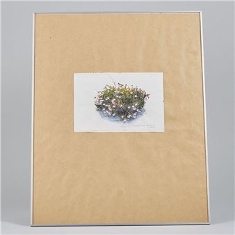 Sweden. Signed - Ingegerd Möller Nygren