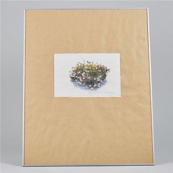 Sweden. Signed - Ingegerd Möller Nygren