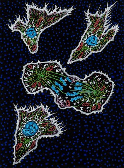 Christian Sardet: Drawings by a Biologist About the Origin and Evolution of Life - Victoria Munroe Fine Art