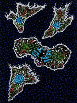 Christian Sardet: Drawings by a Biologist About the Origin and Evolution of Life - Victoria Munroe Fine Art