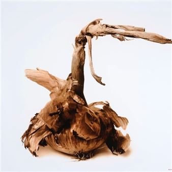 Denis Brihat's Onions - Nailya Alexander Gallery