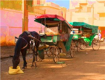 Street Life - San Francisco Women Artists (SFWA)
