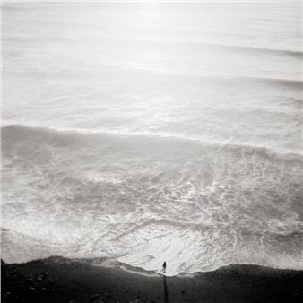 Jeffrey Conley: An Ode to Nature - Peter Fetterman Gallery