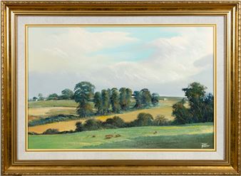 landscape - Danie Van Niekerk