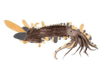 François Marcadon - Le Neuf Gallery