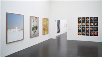 Zentral! - Kunstmuseum Luzern