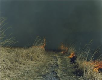 Rinko Kawauchi - MA2 Gallery