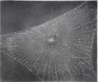 Vija Celmins - Hatton Gallery