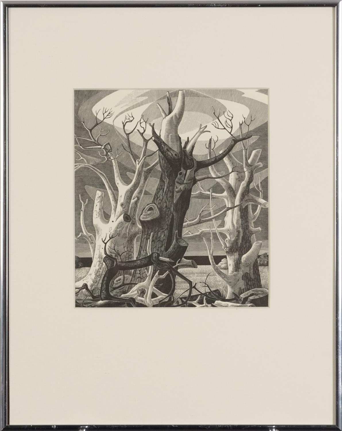 Monica Poole | Dead Trees Sheppey (1977) | MutualArt