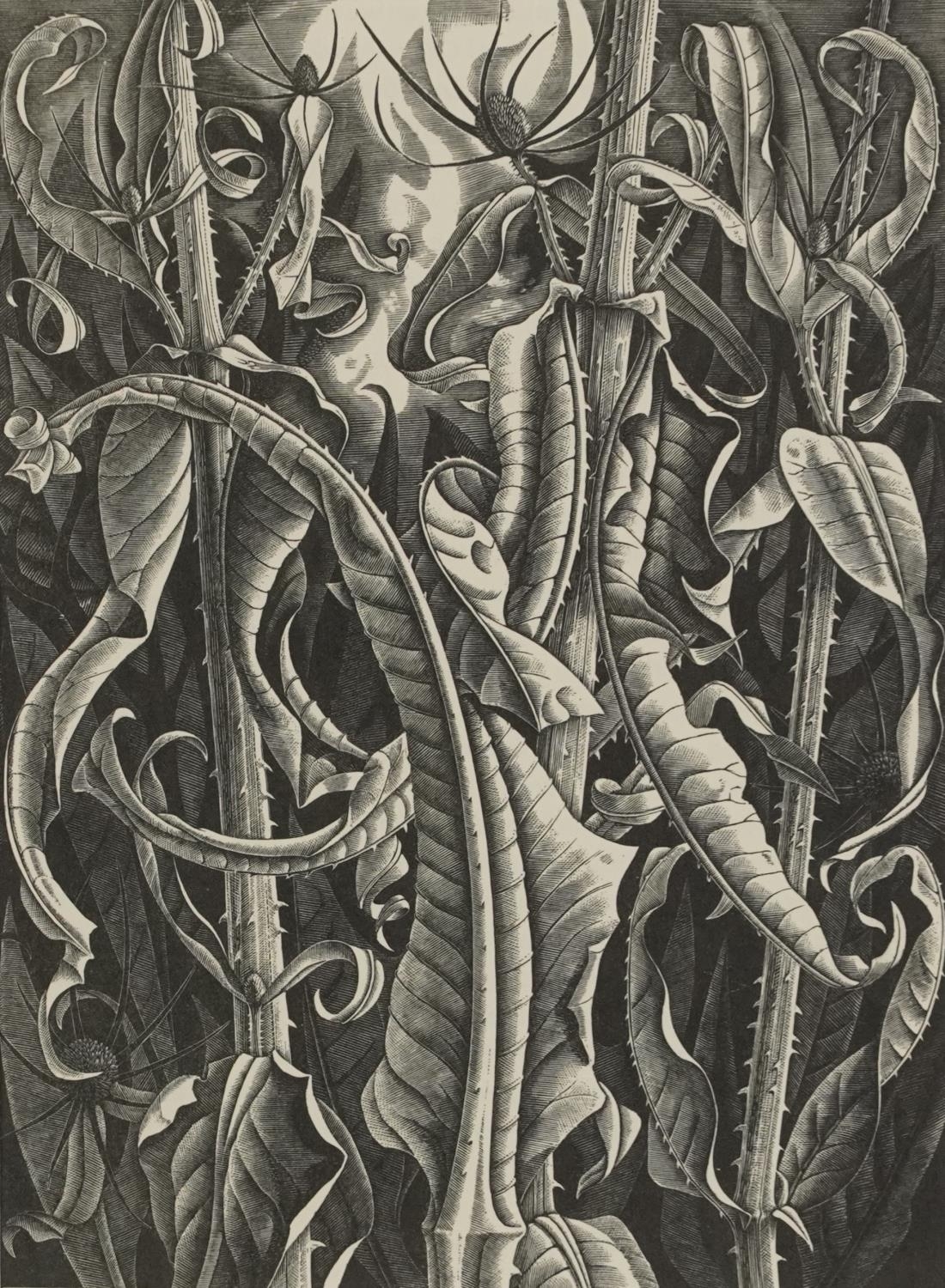 Artwork by Monica Poole, Dry September, Made of wood engraving