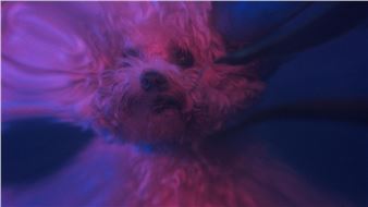 Patrick Goddard’s New Solo Exhibition Focuses on the Politics of Exclusion