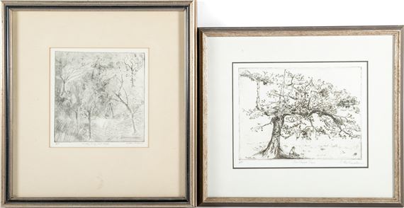 Roland Richardson | The Karee Tree | MutualArt