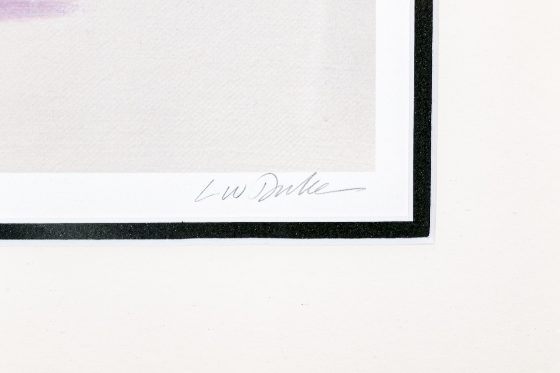 Artwork by L. W. Duke, African Cape Buffalo, Made of color lithograph