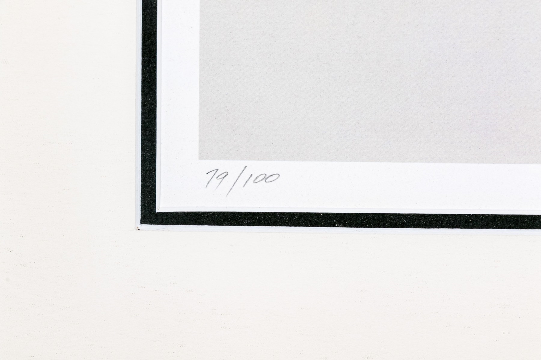 Artwork by L. W. Duke, African Cape Buffalo, Made of color lithograph