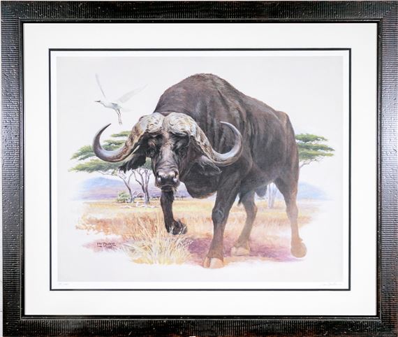 African Cape Buffalo - L. W. Duke