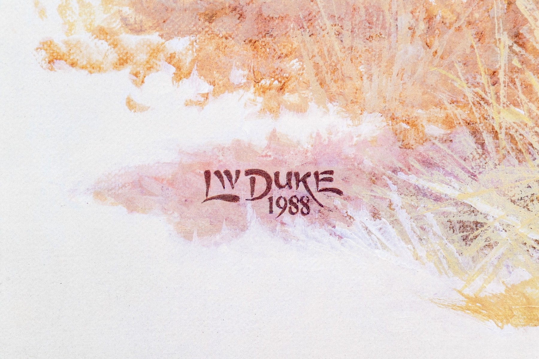 Artwork by L. W. Duke, African Cape Buffalo, Made of color lithograph