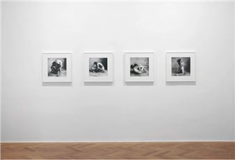 Irving Penn: The Bath - Thaddaeus Ropac, Salzburg (Villa Kast)
