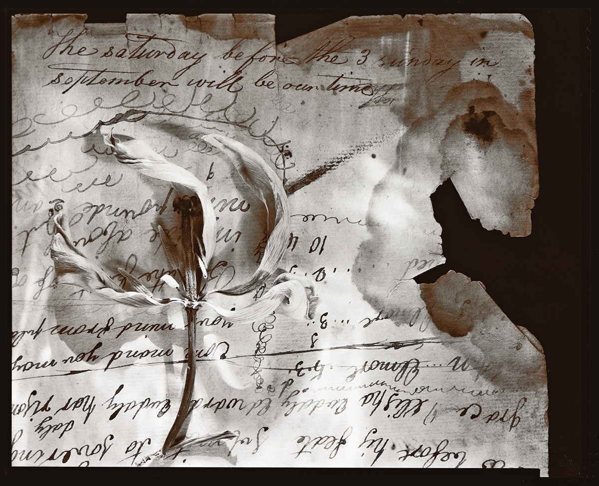 olivia-parker-a-portfolio-entitled-lost-objects-mutualart
