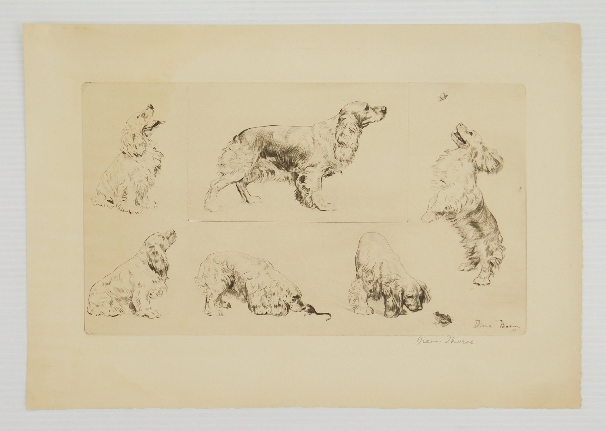 George Soper | 1). George Soper (British 1870-1948) - Autumn - etching ...