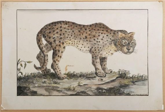 Important collection of drawings and writing by Charles Randle of the Royal Navy - Charles Randle