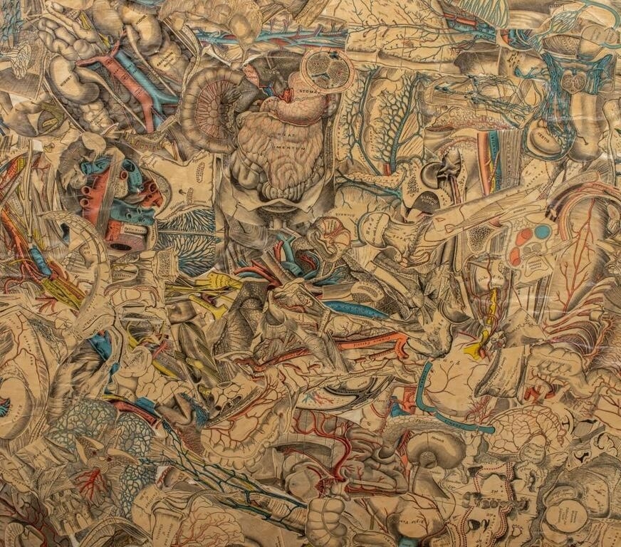 Artwork by Francis Jennings, Francis A. Jennings Anatomical Collage on Panel, Made of Collage on Panel