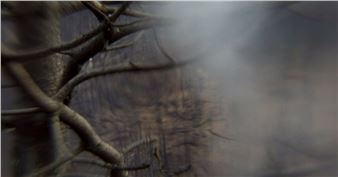 Tristan Duke: Glacial Optics - SITE Santa Fe