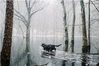 Terra Fondriest: Ozark Life - Blue Sky Gallery