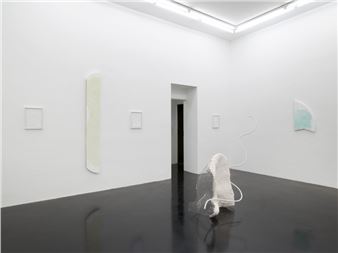 Damaris Kerkhoff: A Short Record On - Clages