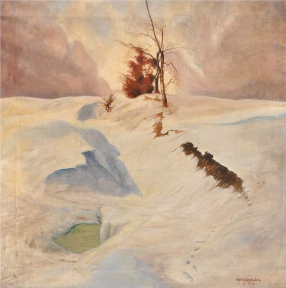 PAESAGGIO INVERNALE PRESSO KITZBÜHEL - Maximilian Erler