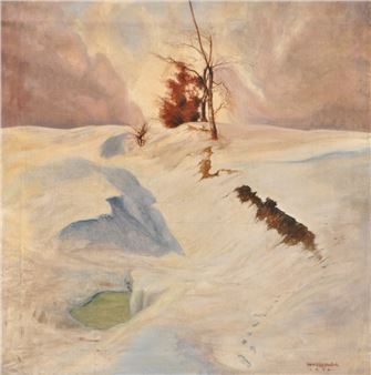 PAESAGGIO INVERNALE PRESSO KITZBÜHEL - Maximilian Erler